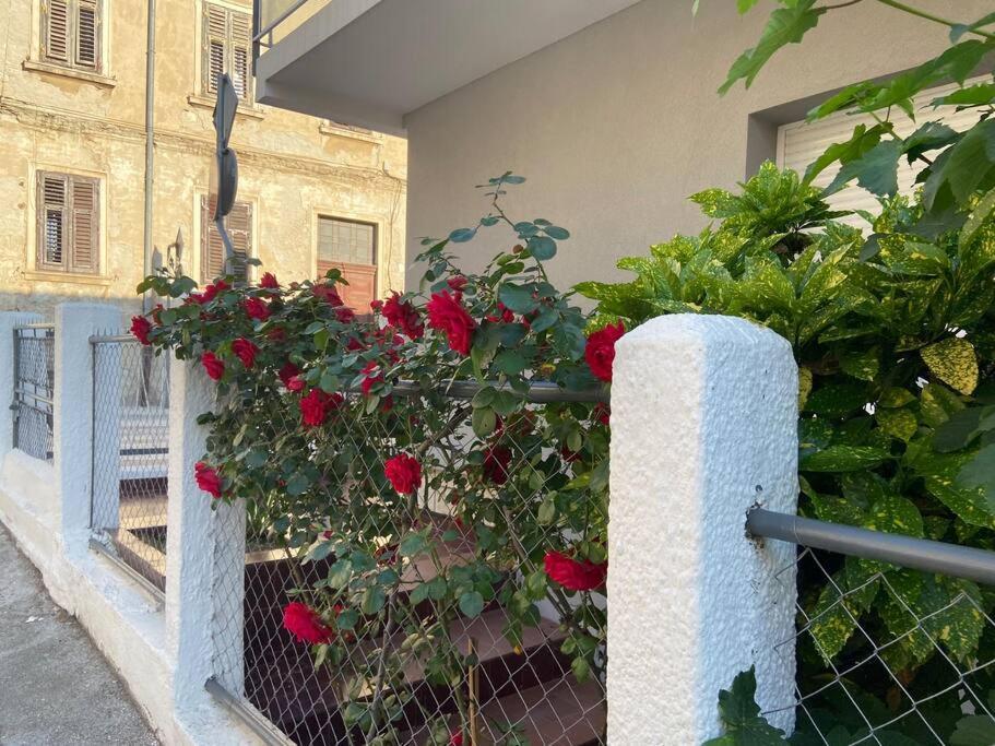 Green Oasis New Apartment Pula Luaran gambar